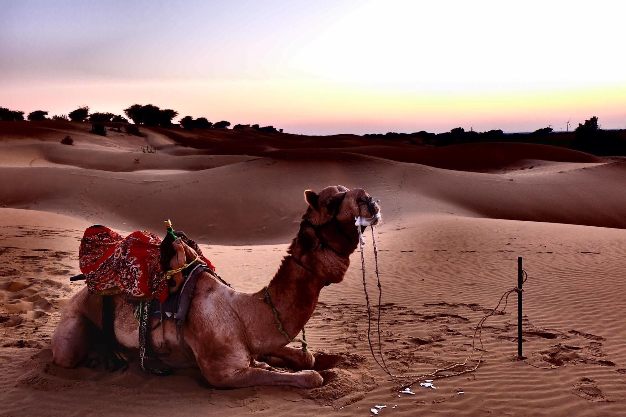 Hotel Garh Jaisal Haveli Jaisalmer Εξωτερικό φωτογραφία